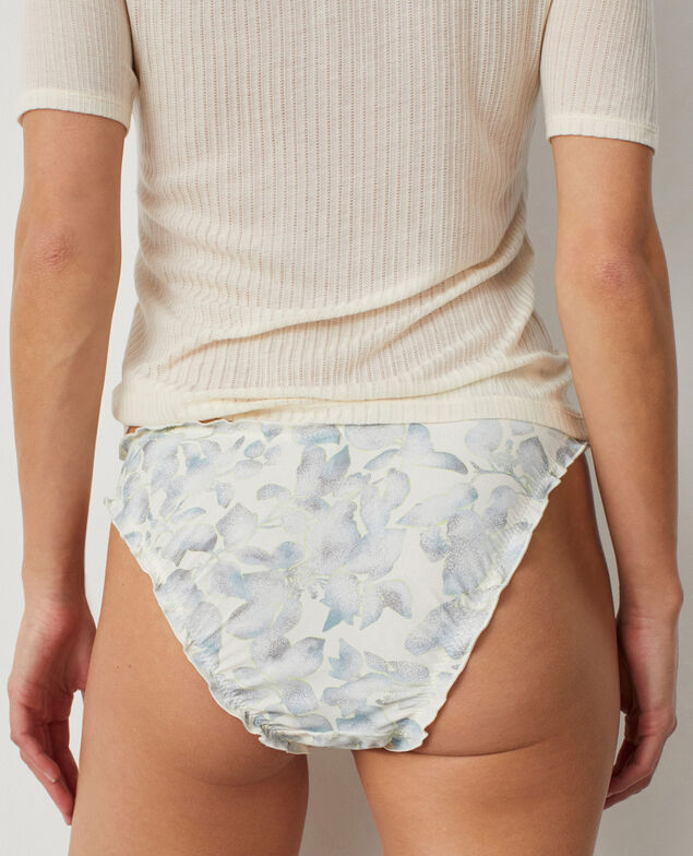 Culotte taille basse CHERI MICROFIBRE Cheri microfibre Ombre bleu