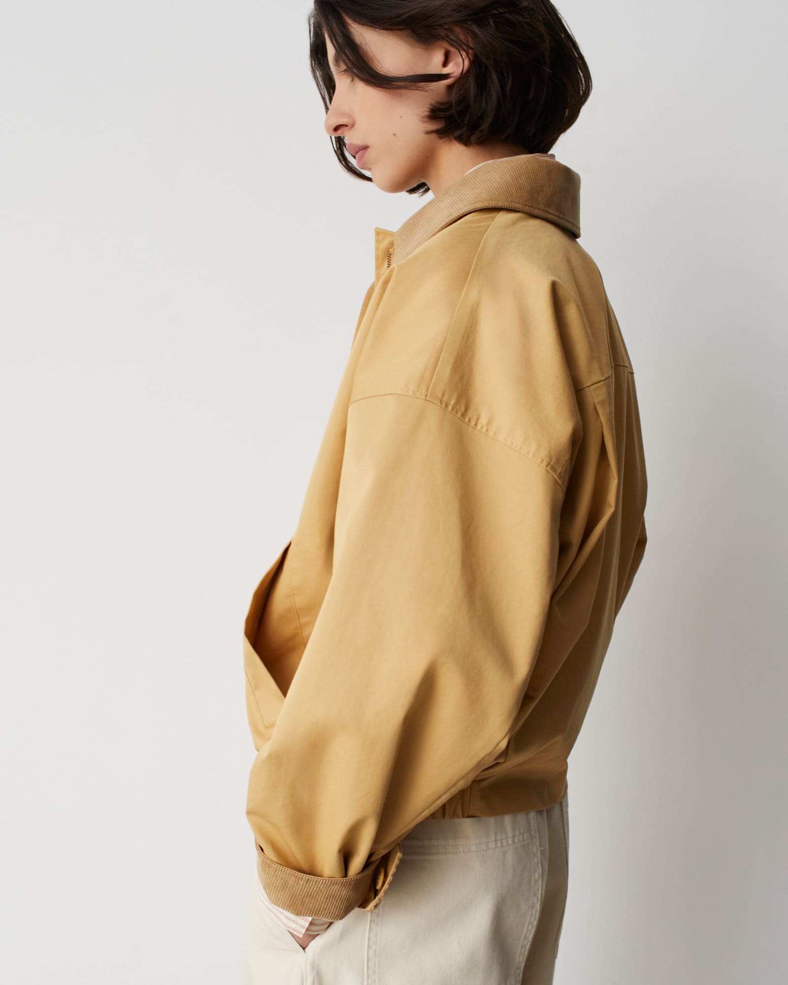 Image 1A